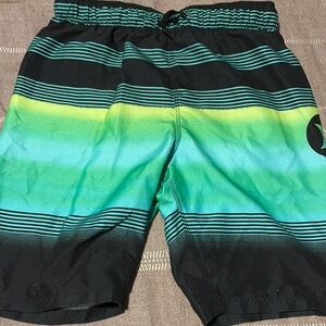 Colorful Striped Swim Shorts